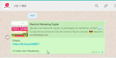 Captura de pantalla del mensaje de WhatsApp que se recibe cuando un cliente da clic en el anuncio de Facebook
