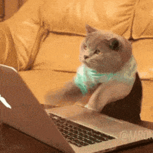 Gif de gato tecleando en una laptop