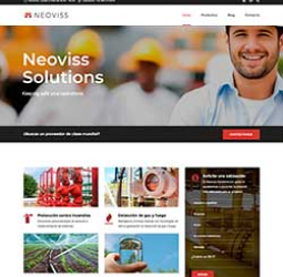 Página web de Neoviss Solutions