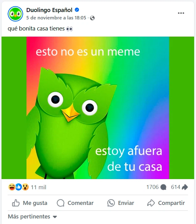 Búho de color verde con ojos llamativos, sobre un fondo de distintos colores